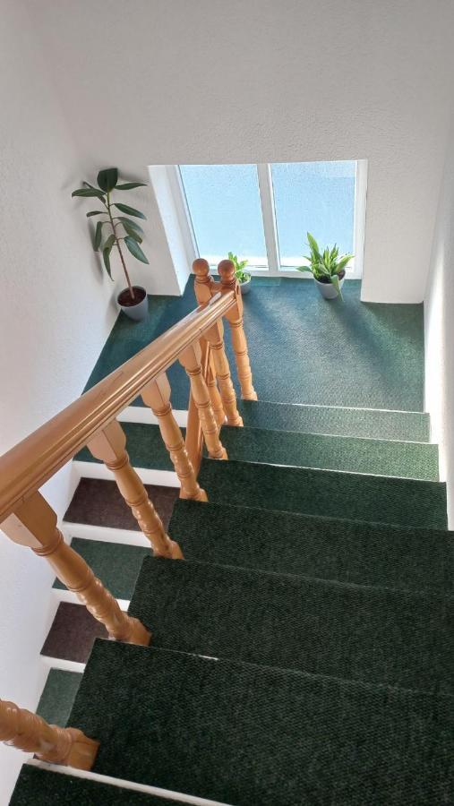 Apartman Sasa فرانيي المظهر الخارجي الصورة